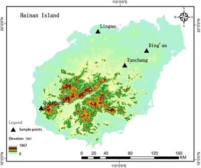 Plant diversity in the understory of Eucalyptus plantations on Hainan Island and its response to environmental factors